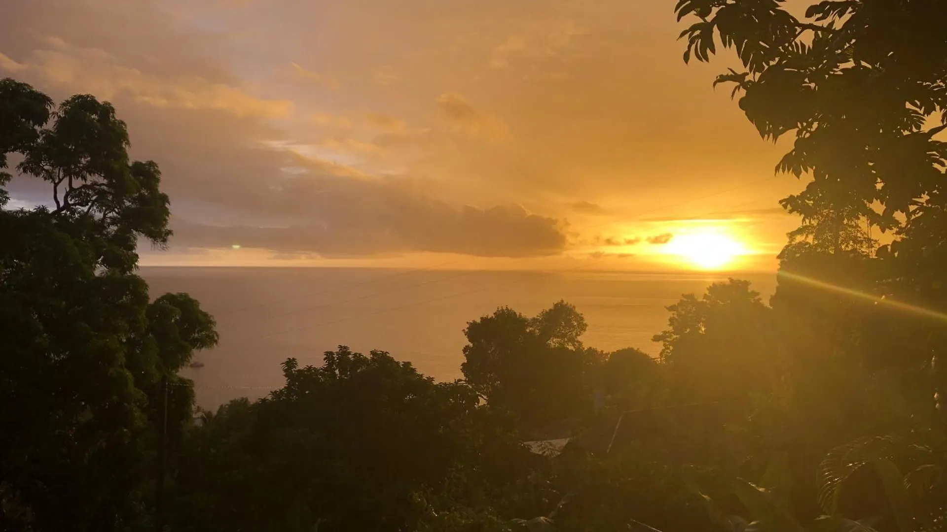 Verbleu Bouillante Guadeloupe
