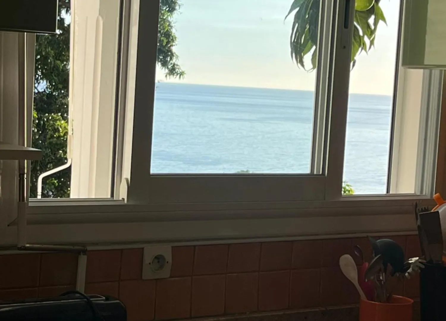 Verbleu Bouillante Guadeloupe